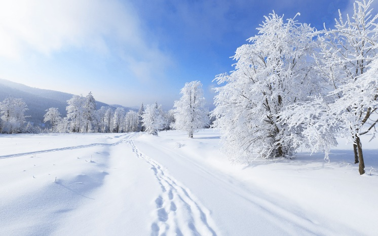 https://machmit.aufstehen.de/mitmachen/images/Bild20221218_Winter.png