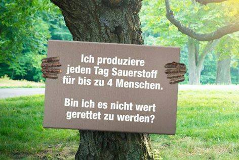 https://machmit.aufstehen.de/mitmachen/images/Bild20230723_Baumrettung.png