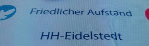 https://machmit.aufstehen.de/mitmachen/images/Bild20230723_FriedlicherAufstand.png